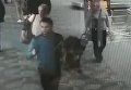 СМИ опубликовали кадры стрельбы в аэропорту Флориды. Видео