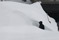 Последствия снежного шторма в штате Невада