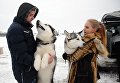 Гонки ездовых собак в Харьковской области
