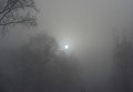 Киев, туман