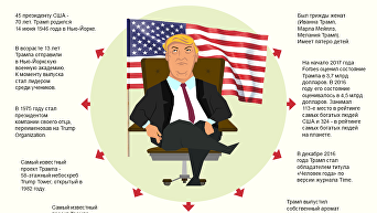 Дональд Трамп. Интересные факты из жизни 45-го президента США. Инфографика