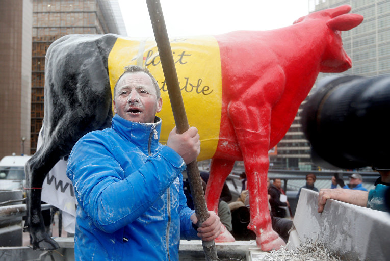 Молочный протест фермеров в Брюсселе