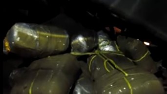6 кг марихуаны обнаружили пограничники в поезде Николаев-Москва. Видео