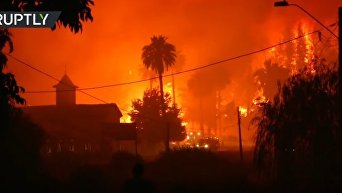 В Чили бушуют мощнейшие за последние десятилетия лесные пожары