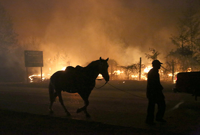 Последствия масштабного пожара в Чили
