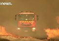 Беспрецедентные лесные пожары в Чили не утихают