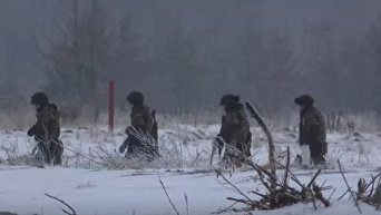 Комплексные учения Национальной гвардии Украины. Видео