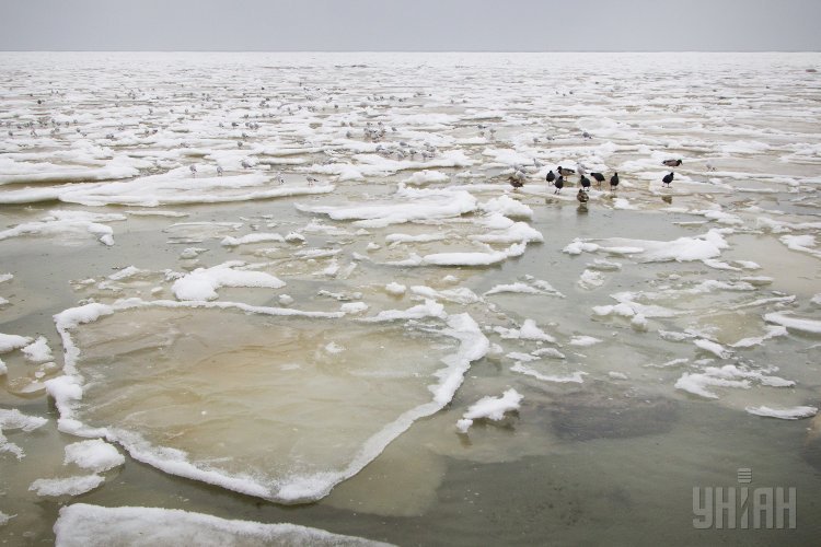 Зимнее море Одессы: чайки и глыбы льда