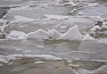 Зимнее море Одессы: чайки и глыбы льда