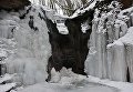 В Тернопольской области замерз самый высокий в Украине равнинный водопад