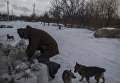 Ситуация в селе Веселое Донецкой области
