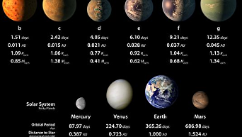 НАСА заявило об обнаружении семи планет, похожих на Землю