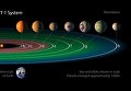NASA заявило об обнаружении семи планет, похожих на Землю