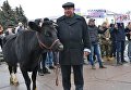 В Житомире прошел митинг против снижения пошлины на экспорт крупного рогатого скота.