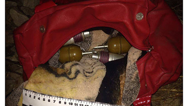 Возле Славянска полиция обнаружила сумку с гранатами