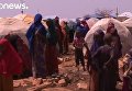Голод в Сомали: за два дня умерли 110 человек. Видео