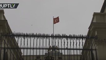 Демонстранты подняли турецкий флаг над консульством Нидерландов в Стамбуле