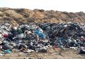 Львовский мусор в Овидиопольском районе Одесской области