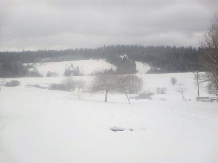 Львовскую область занесло снегом