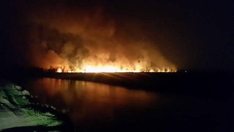 Мощный пожар на Осокорках в Киеве. Горит камыш на болоте