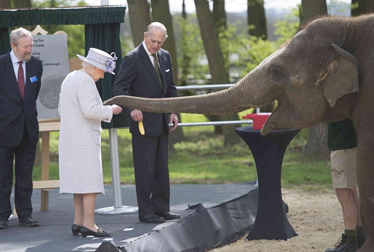 Британская королева посетила центр по уходу за слонами
