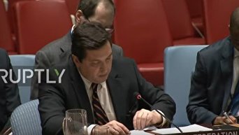 Выступление Владимира Сафронкова на заседании СБ ООН. Видео