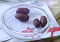 Заповедник в Иркутске выпустил конфеты в форме фекалий животных