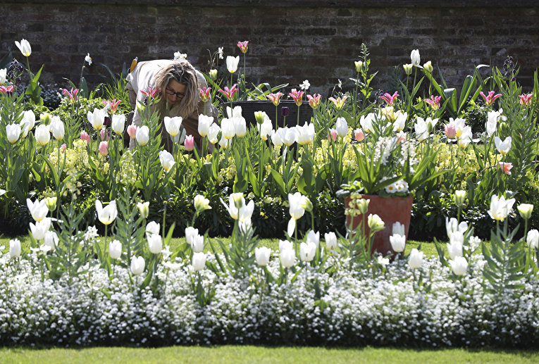 Белый сад в память о принцессе Диане