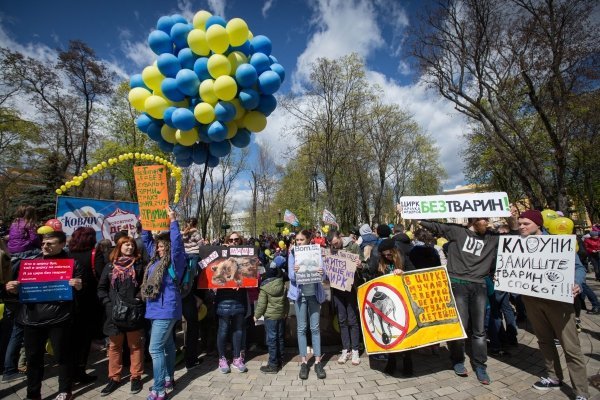 Митинг за цирк без животных в Международный День цирка в Киеве
