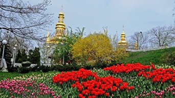 Фестиваль тюльпанов Тайны Пасхальной писанки в Киеве