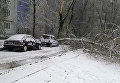 Апрель в Запорожье: падающий снег и поваленные деревья