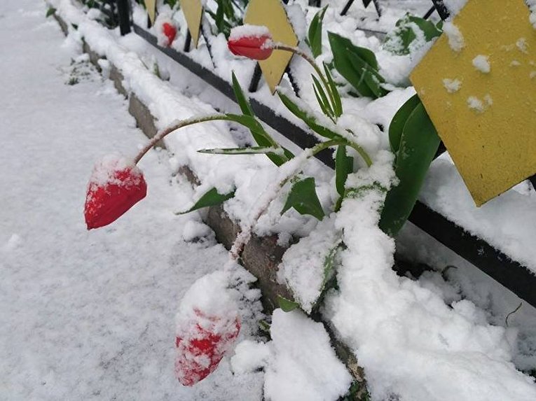 Снегопад в Запорожье