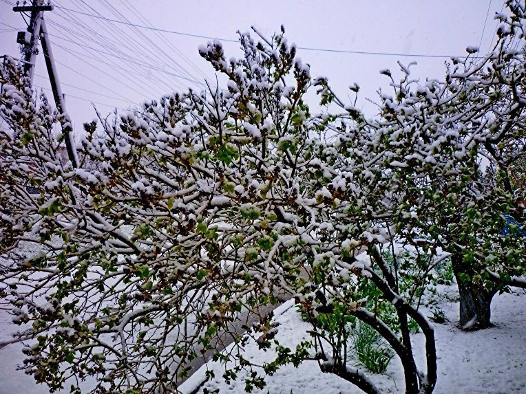 Снег на Херсонщине