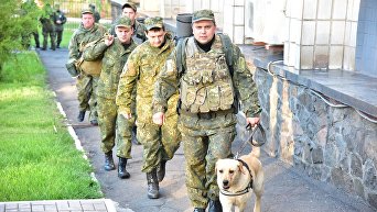 В Мариуполе для обеспечения правопорядка привлекли собак