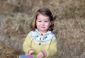В Британии королевская семья опубликовала новое фото принцессы Шарлотты