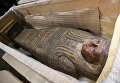 В Киеве представили коллекцию египетских древностей