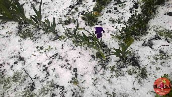 Снег в Чернигове