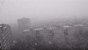 Снег в Москве: весна уволена с работы