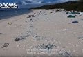 Найден самый грязный остров в мире