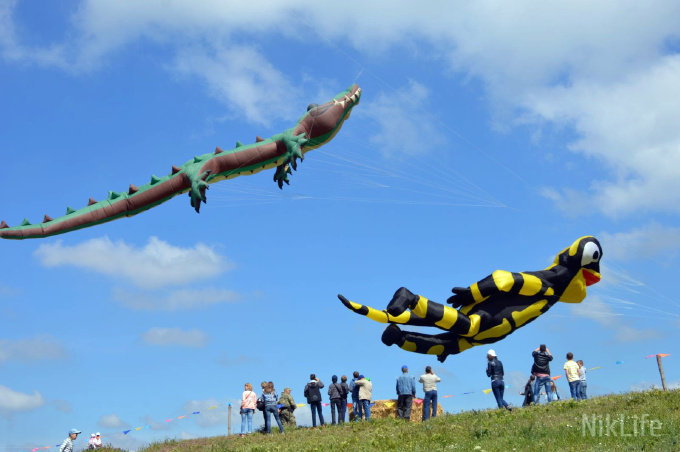 В Украине прошел первый международный фестиваль воздушных змеев