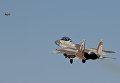 Можжевеловый сокол: учения ВВС Израиля и США