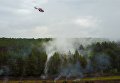 Под Киевом ГСЧС провела масштабные учения тушения лесных пожаров с использованием дронов