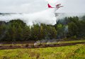 Под Киевом ГСЧС провела масштабные учения тушения лесных пожаров с использованием дронов