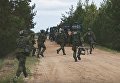 Учения НАТО Saber Strike начинаются в Эстонии. Видео