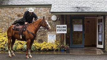 Британцы пришли на выборы с кошками, собаками и лошадьми