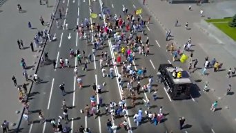Парад в Киеве легендарной породы джек-рассел-терьер из фильма Маска