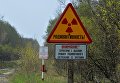 Белорусский сектор зоны отчуждения Чернобыльской АЭС. Архивное фото