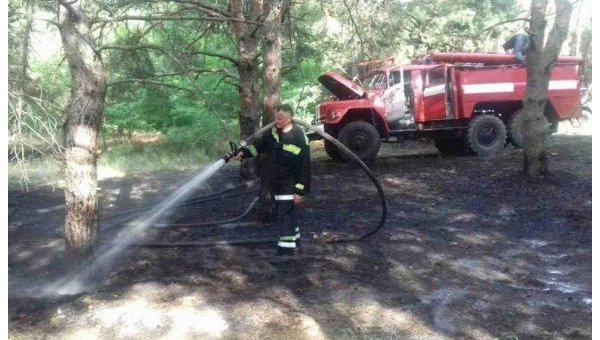 Спасатели фиксируют первые лесные пожары