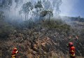 Масштабный лесной пожар в Португалии
