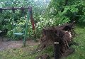 Разрушительный ураган во Львове